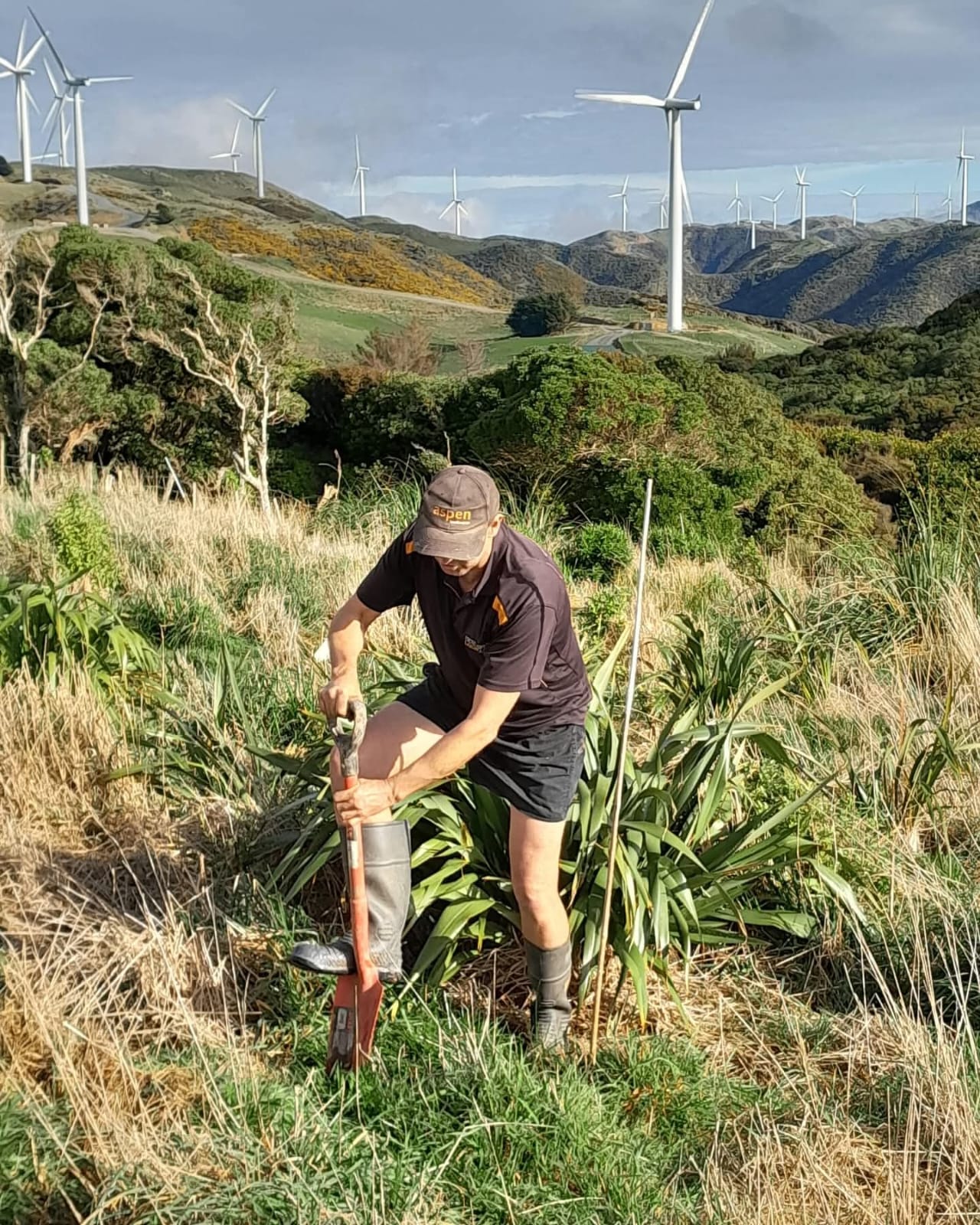 Commercial Gardening (Additional)